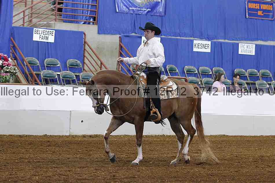 Proof 12r12_3742