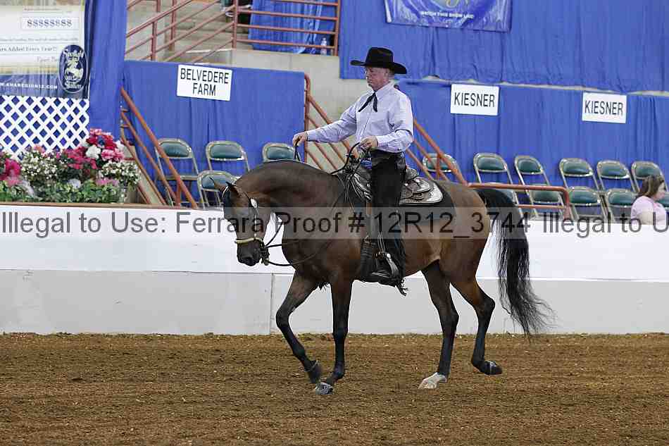 Proof 12r12_3744