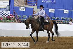 12r12_3744 proof