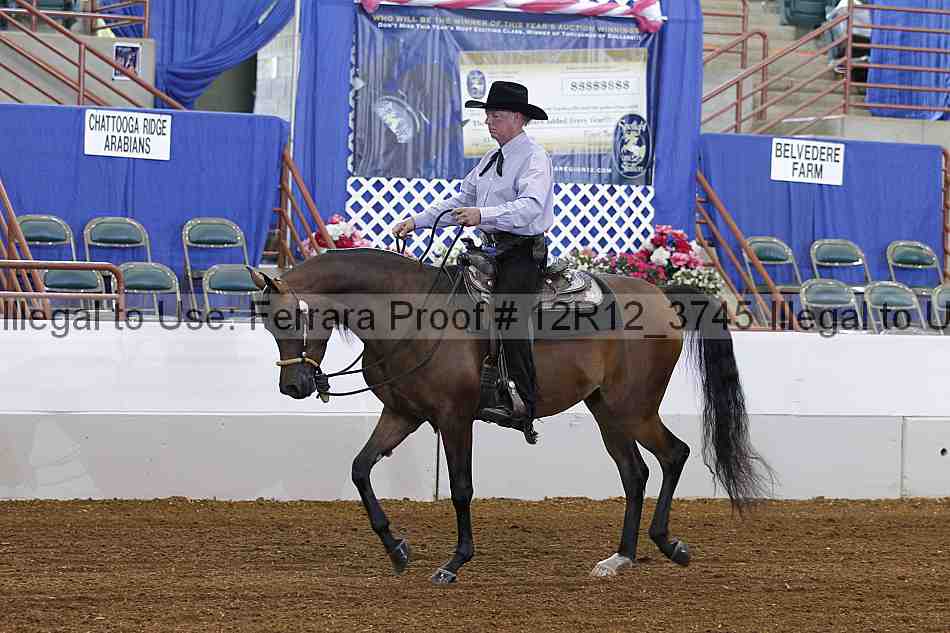Proof 12r12_3745