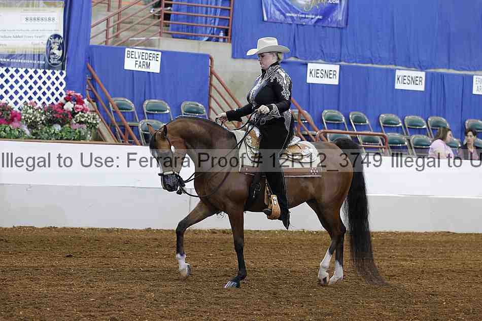Proof 12r12_3749