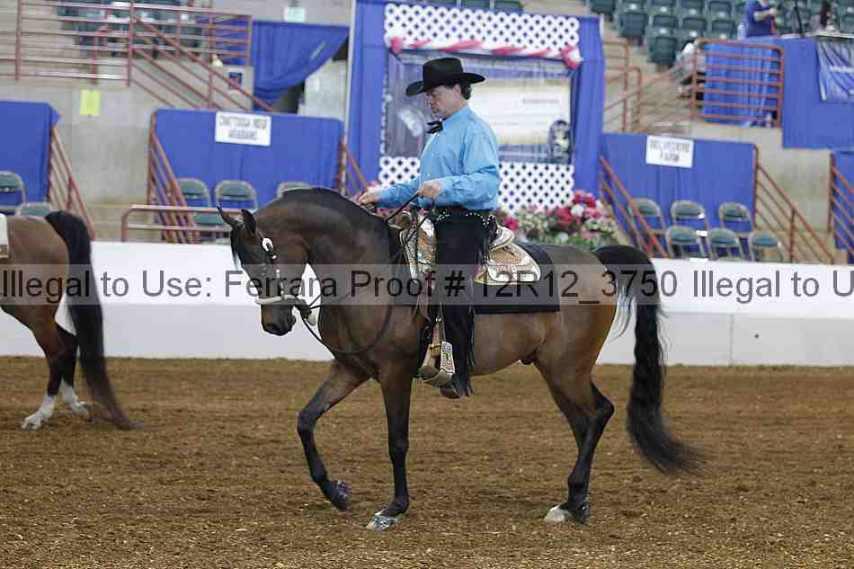Proof 12r12_3750