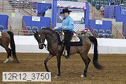 12r12_3750 proof