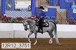 12r12_3751 proof