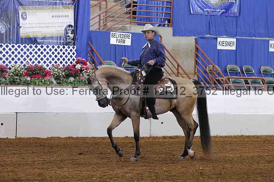 Proof 12r12_3752
