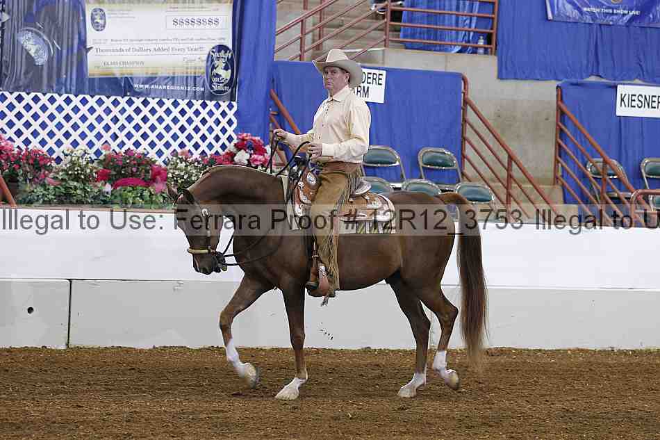 Proof 12r12_3753
