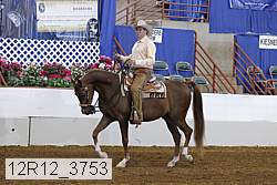 12r12_3753 proof