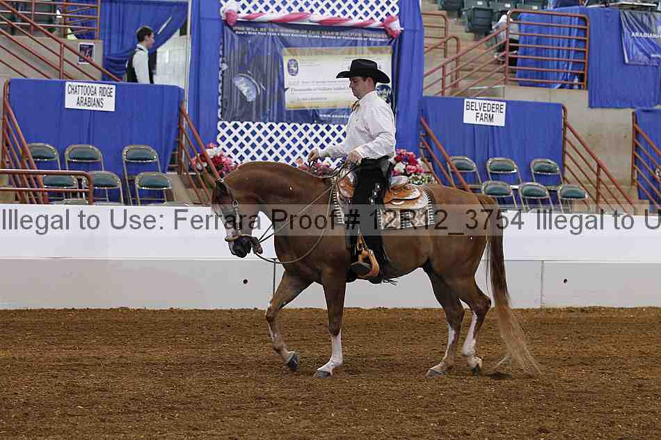 Proof 12r12_3754