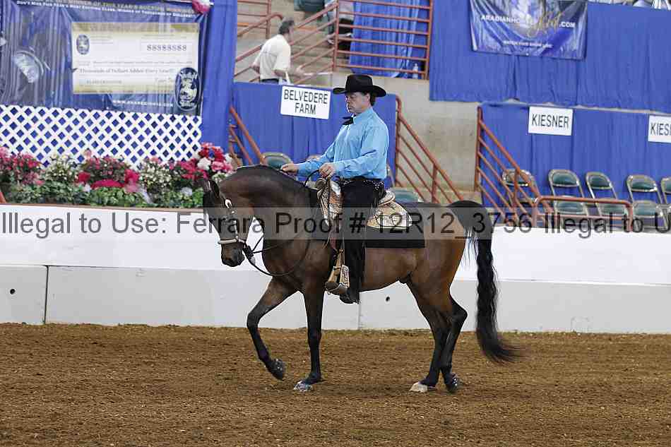 Proof 12r12_3756