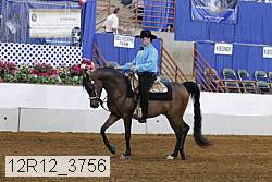 12r12_3756 proof