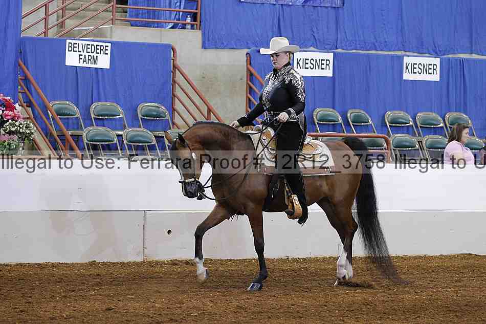 Proof 12r12_3758