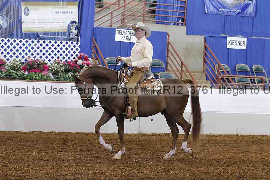 Proof 12r12_3761