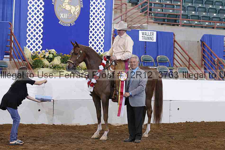 Proof 12r12_3763