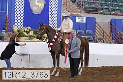 12r12_3763 proof