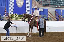 12r12_3764 proof