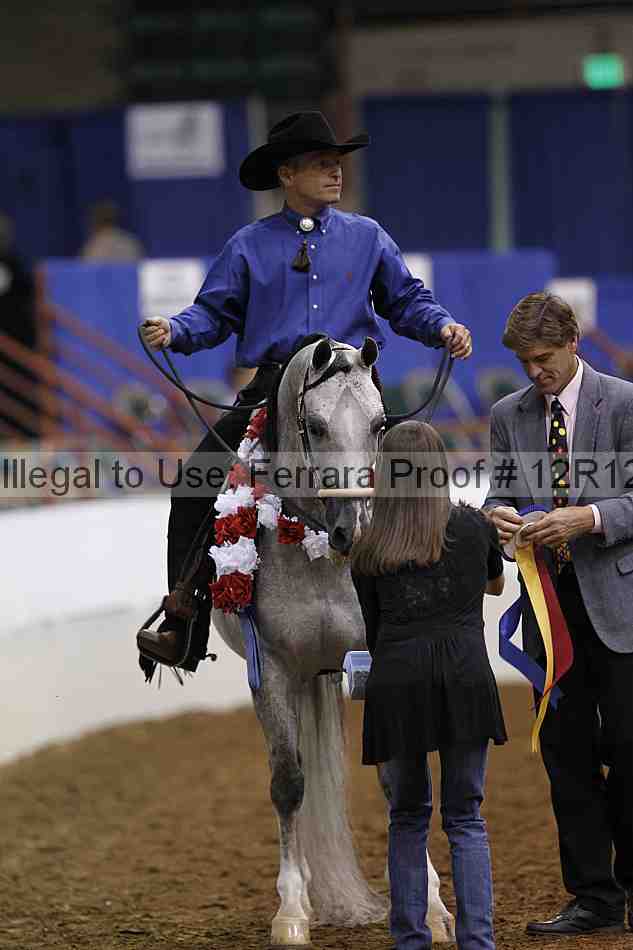 Proof 12r12_3765