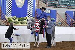 12r12_3766 proof