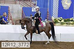 12r12_3772 proof
