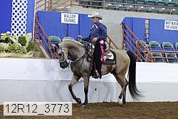 12r12_3773 proof