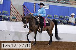 12r12_3776 proof