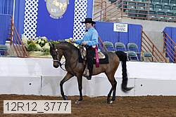 12r12_3777 proof