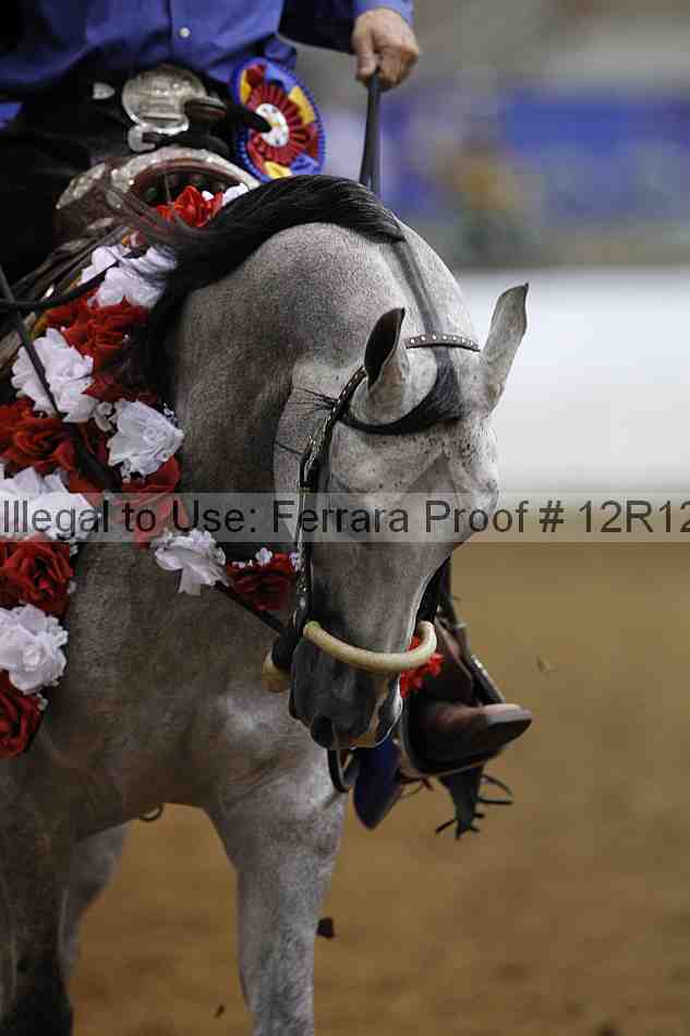 Proof 12r12_3781