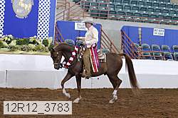 12r12_3783 proof