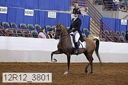12r12_3801 proof