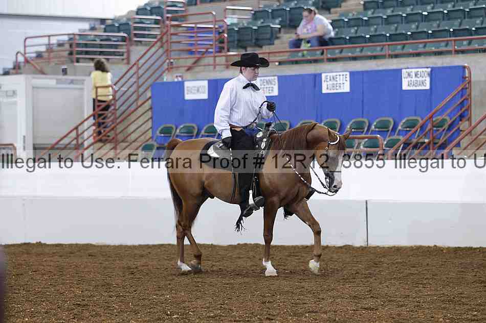 Proof 12r12_3855