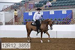 12r12_3855 proof