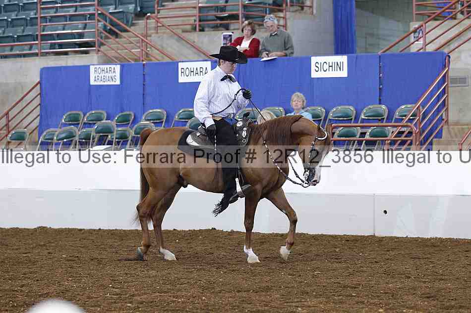 Proof 12r12_3856