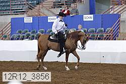 12r12_3856 proof