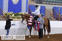 12r12_3858 proof