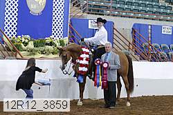12r12_3859 proof