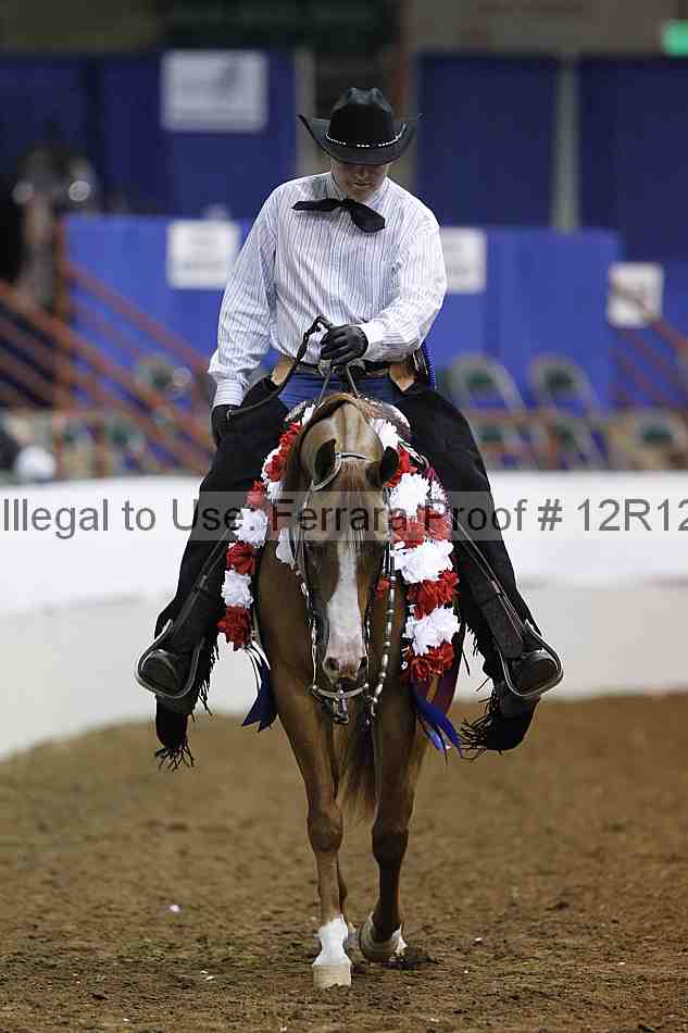 Proof 12r12_3860