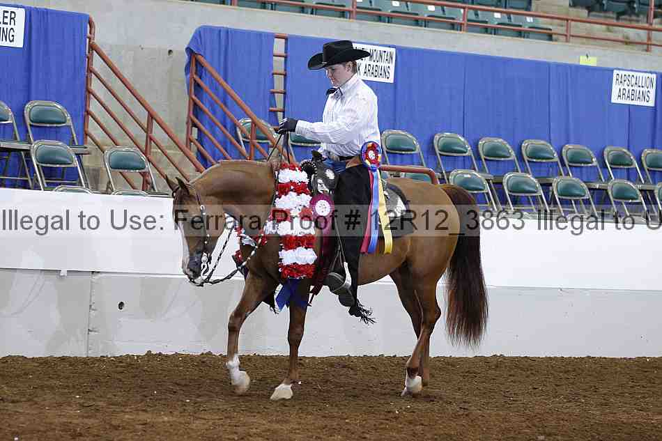 Proof 12r12_3863