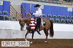 12r12_3863 proof