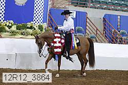 12r12_3864 proof