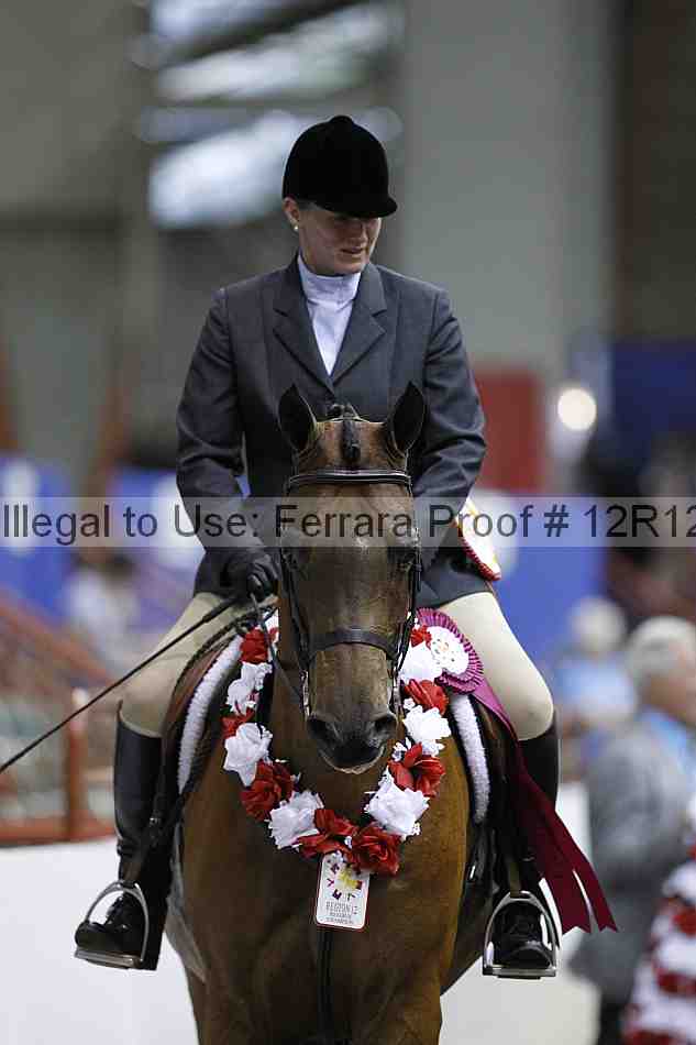 Proof 12r12_3906