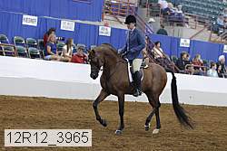 12r12_3965 proof