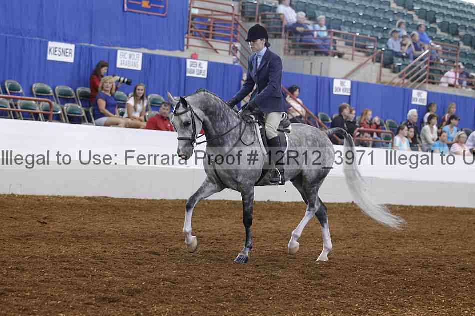 Proof 12r12_3971