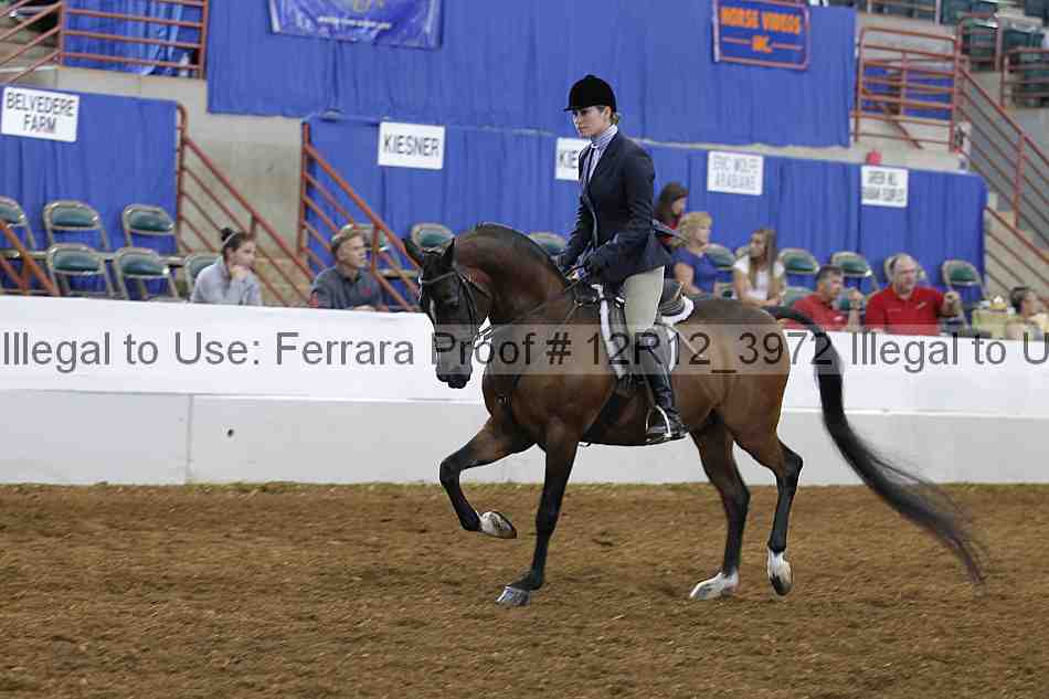 Proof 12r12_3972