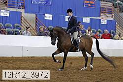 12r12_3972 proof