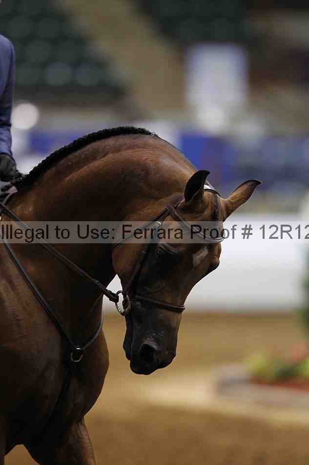Proof 12r12_3973