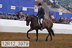 12r12_3979 proof