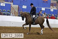 12r12_3984 proof