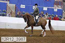 12r12_3987 proof