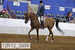 12r12_3988 proof