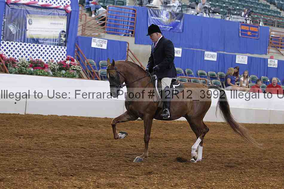 Proof 12r12_3992