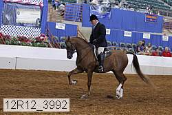 12r12_3992 proof